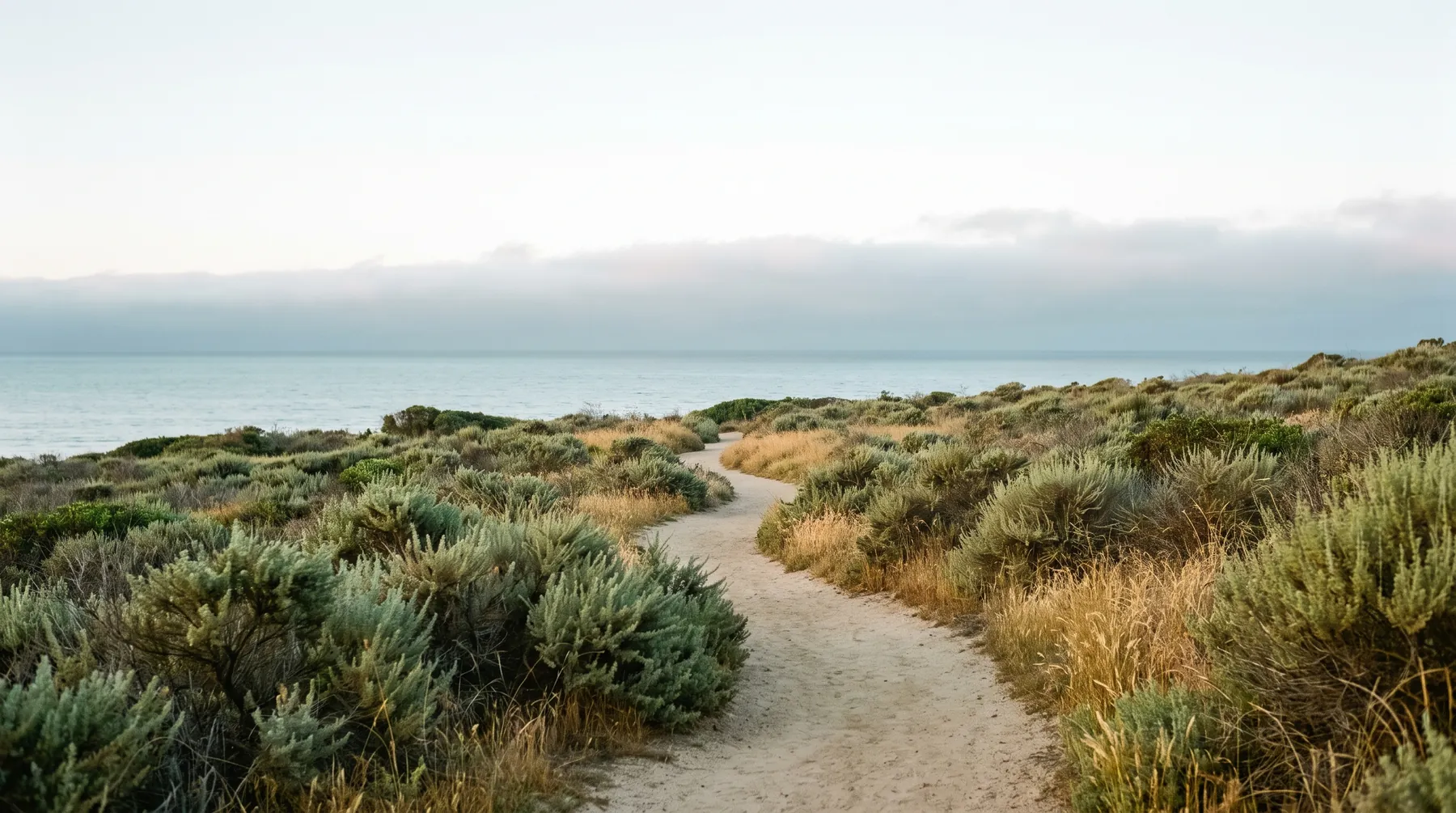 A quiet coastal walking trail near San Diego